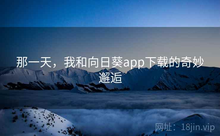 那一天，我和向日葵app下载的奇妙邂逅