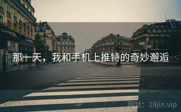 那一天，我和手机上推特的奇妙邂逅  第2张